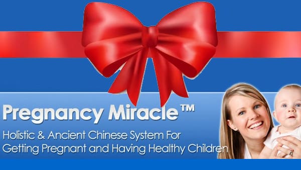 Pregnancy Miracle PDF Download